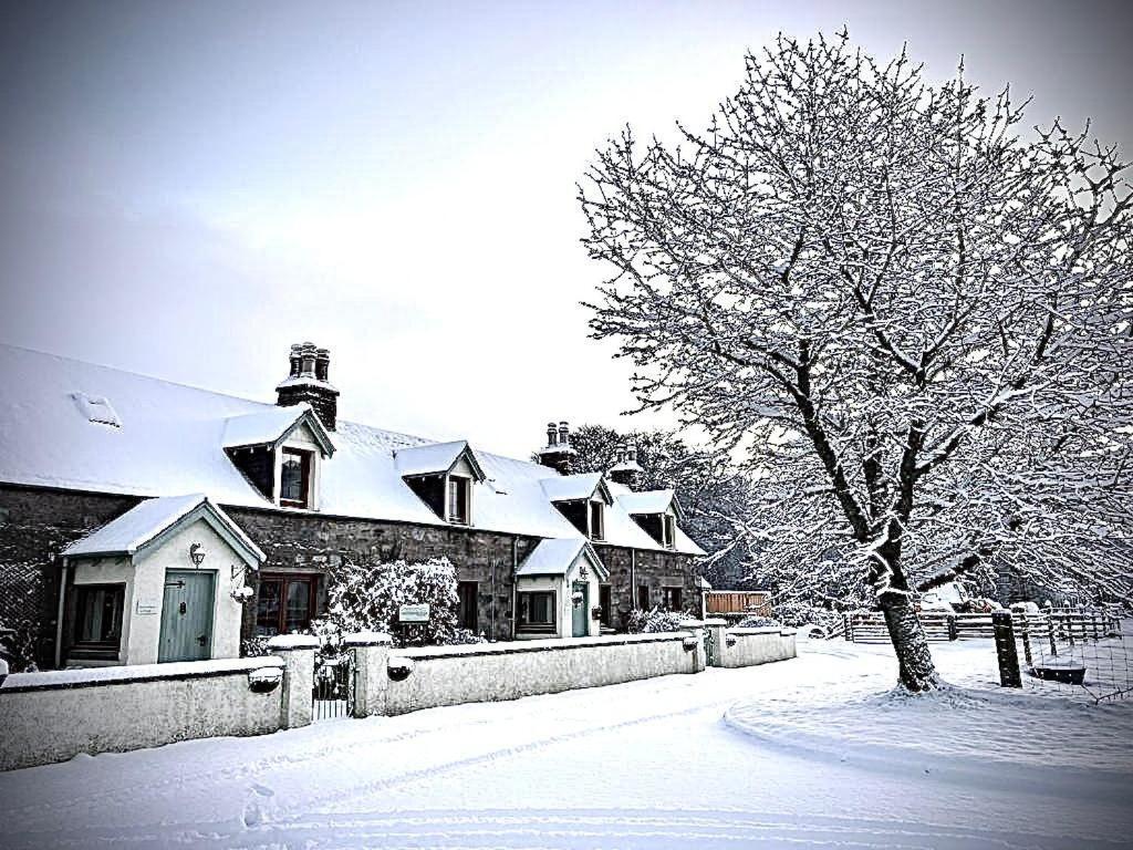 Rosemount Cottage Two - Highland Cottage Garve Exterior photo